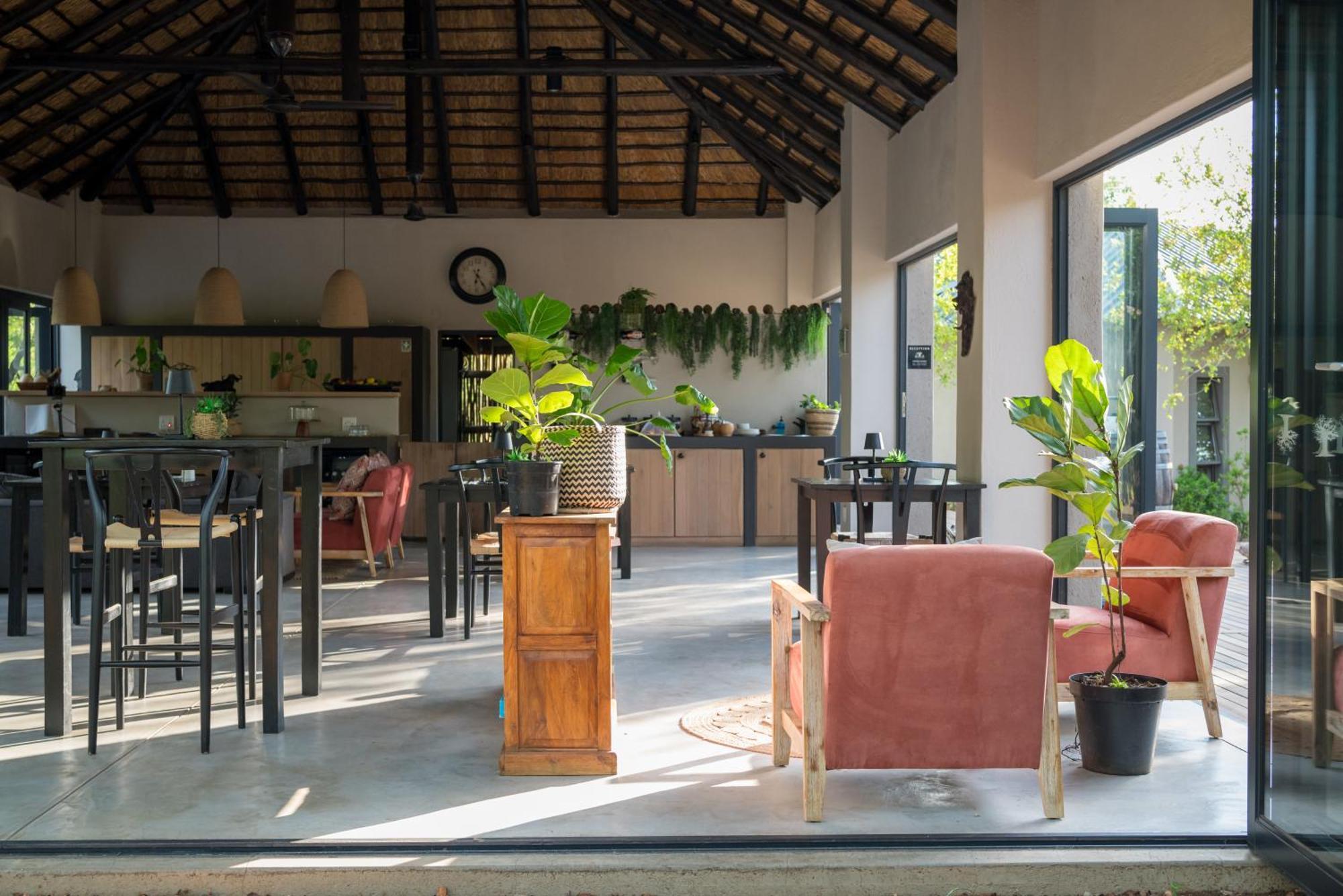 The Baobab Bush Lodge And Villa Hoedspruit Kültér fotó